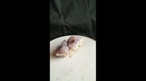 Кактусовый кварц аметистовый 5х10х4 см