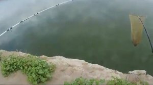 Рыбалка Узбекистане