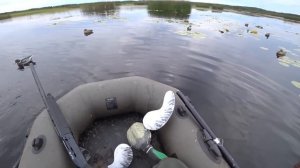 ЭТО ЛУЧШАЯ ОХОТА НА УТКУ С ЧУЧЕЛАМИ! Открытие охоты на утку.