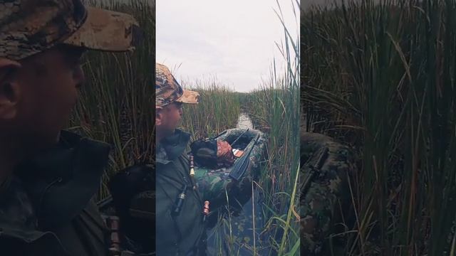 На змеином болоте смотреть онлайн