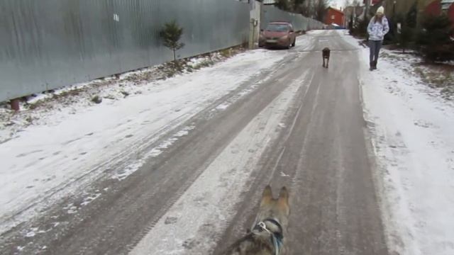 Встреча друзей )) Задача - поймать боксера )) смотреть онлайн