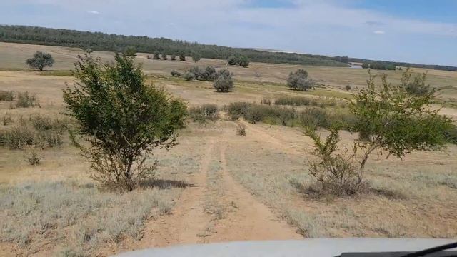 Нива.Как Яндекс проложил так Нива и проехала.Дорога к Дону