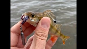 Волжский ультралайт! Конаково.