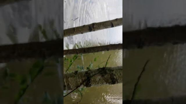 Есть! 20 июня 2020 г. смотреть онлайн