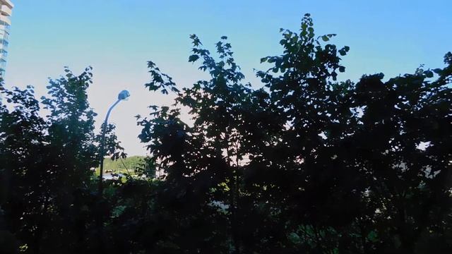 DSCN7494 24 06 2017 Г КРАСИВОГО УТРА !!! смотреть онлайн