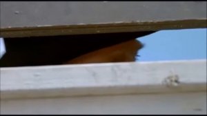 Не смей , мне больше перечить , парень .