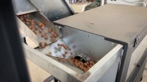 Линия очистки фундука