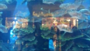 Дубай  Экскурсии