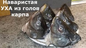 НАВАРИСТАЯ УХА ИЗ ПЯТИ ГОЛОВ КАРПА. Вкусная, сытная, наваристая уха из карпа. Рецепт вкусной ухи.