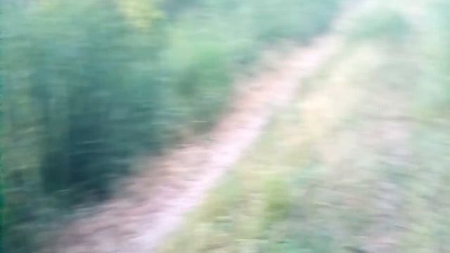 Я нашёл своего друга в Лесу. У нас пропал оператор смотреть онлайн