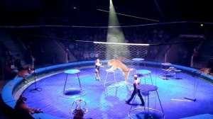 26 января 2017 г.