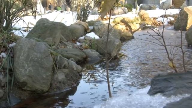 Свадьба эпизод прогулка зима