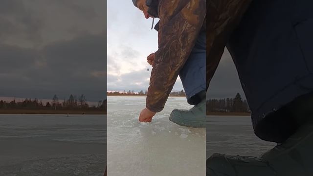 всё о зимней рыбалке смотреть онлайн