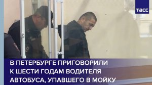 В Петербурге приговорили к шести годам водителя автобуса, упавшего в Мойку