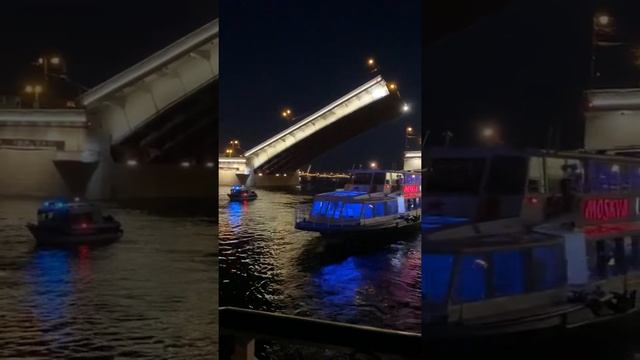 Разводные мосты Санкт-Петербурга