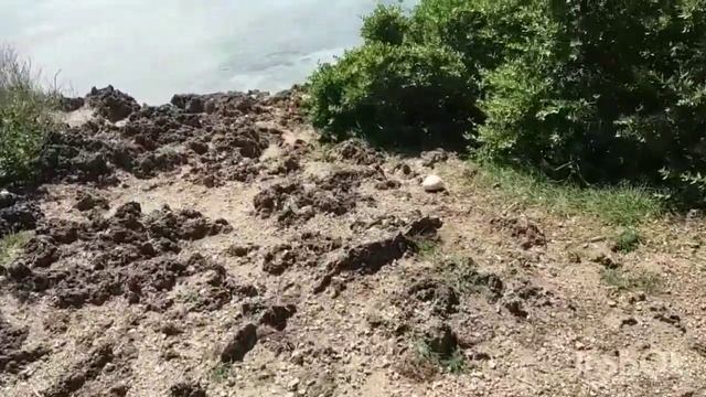 28 выпуск. Жареная рыба. Десерт у дороги. Дикий пляж.