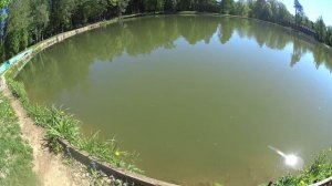 Форель на магот. На что ловить  форель в солнечный день!#рыбалка #fishing #форель