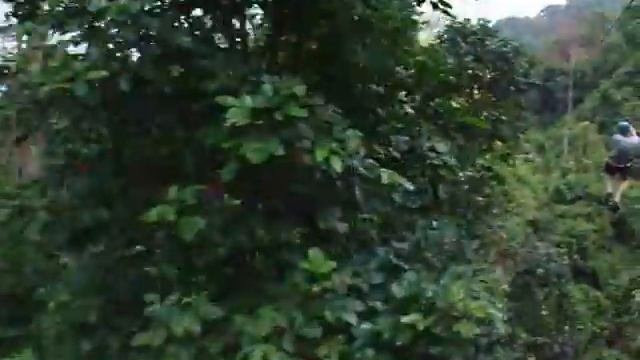 Полет гиббона смотреть онлайн