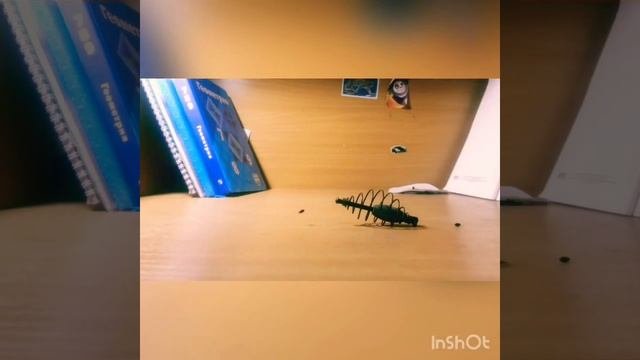 Как сделать снасть под названием кормак