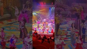 19 февраля 2023 Омский цирк шоу Гиа Эрадзе