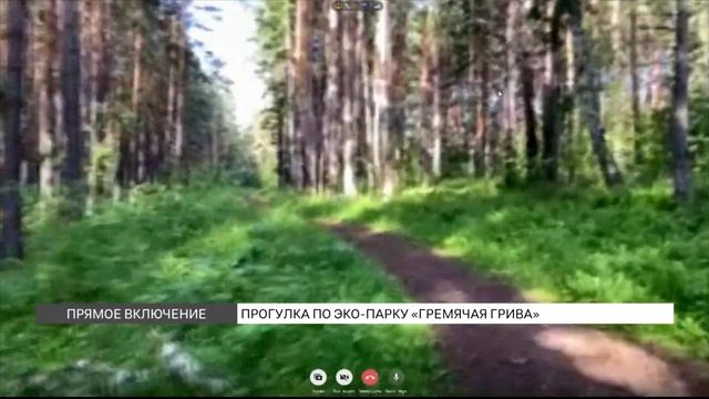 Куда сходить в эко-парке «Гремячая грива»?