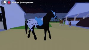 Все мои лошади! (ТАМ ЕСТЬ НОВЫЙ ЖЕРЕБЕНОК) Roblox horse valley