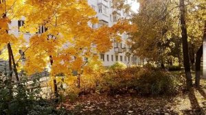 ОСЕНЬ В ДИМИТРОВГРАДЕ