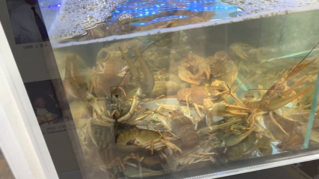 Посетили музей Пуговкин Ростов-на-Дону ￼ смотреть онлайн