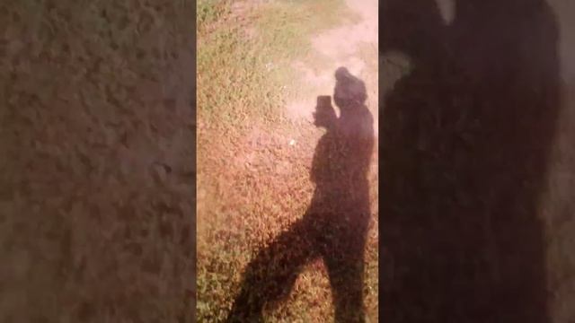 обзор на мой велик смотреть онлайн