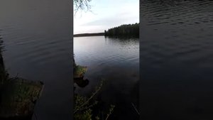 рыбалка на Гамаюне