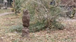 Адыгея 3 день 2022г. отдых в Адыгее.