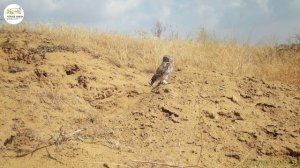 Приоткрывая заповедные двери… Физзарядка