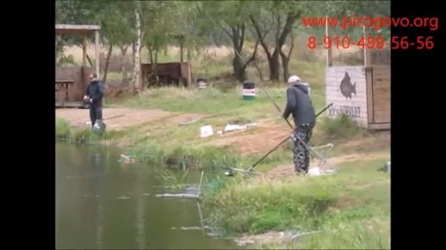 Платная рыбалка