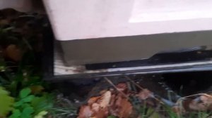 подготовка пчёл в зиму, настраиваем вентиляцию, сложный регион для зимовки