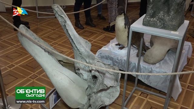 Объектив 29 01 20 "Terra inkognita" выставка про Антарктиду смотреть онлайн