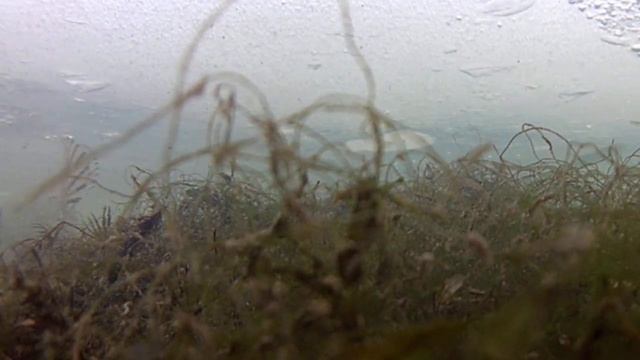 Первый лед. Жерлицы. Часть 2. смотреть онлайн