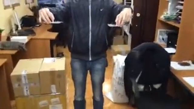 Тест на прочность дисплея для iPhone смотреть онлайн