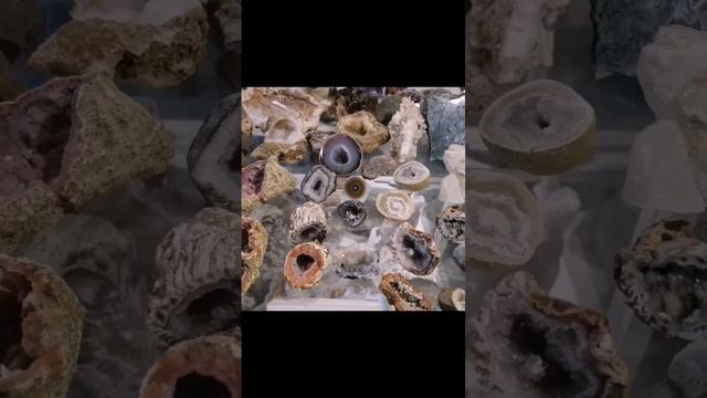Барнаул. Музей камня ул.Ползунова 39