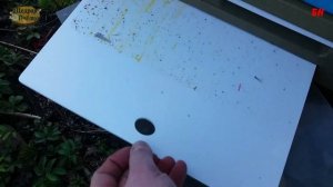 пчеловодство. проверяем наличие клеща. работы на пасеке весной