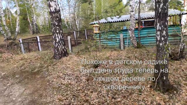 Скворечники на каждом дереве смотреть онлайн