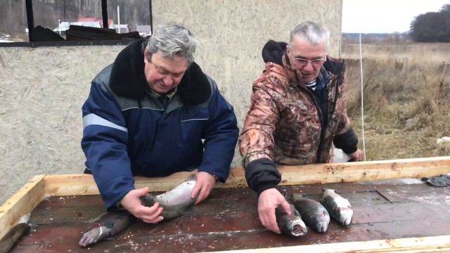 Мисайлово - форелевый улов