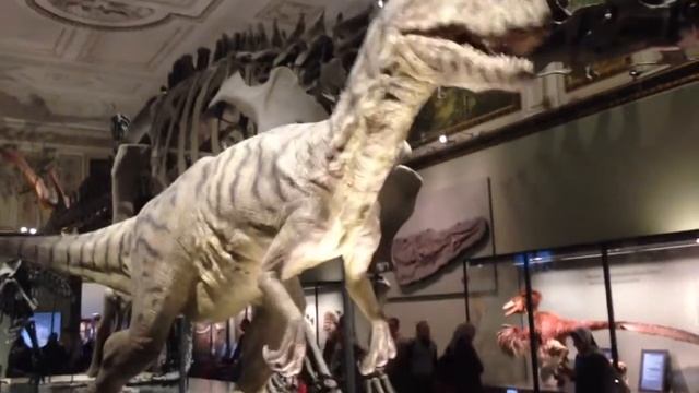 Dinosaur in the Natural History Museum in Vienna смотреть онлайн