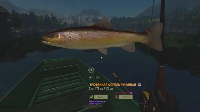 Fisher Online-форель ручьевая(Швейцария)