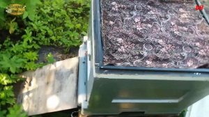 пчеловодство. результаты ветеринарных исследований и расширение семей