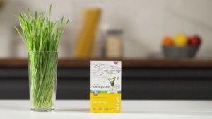 Витграсс для спокойствия и энергии