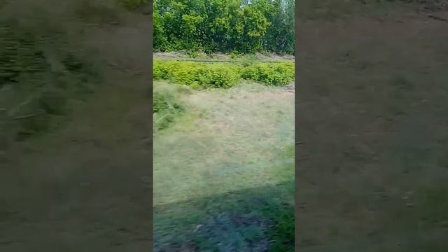 Поездка Оренбург-Самара-Москва. Двухэтажный поезд. (15.05.23).