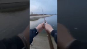 Рыбалка в Займище, Татарстан. Рыбы нет