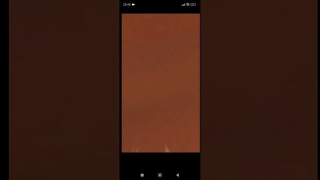 Вакфу #2 смотреть онлайн