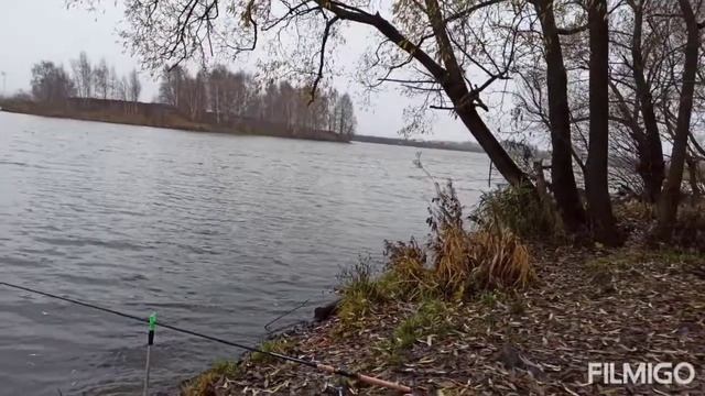 осенний фидер,закрытие сезона. смотреть онлайн