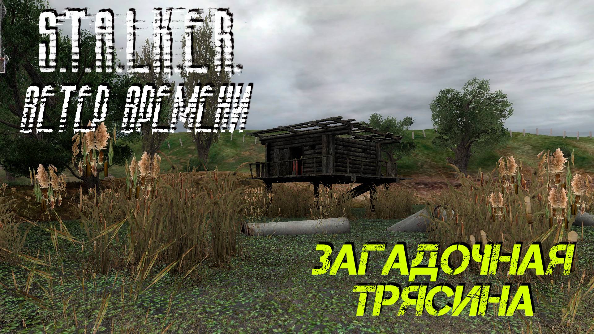 ЗАГАДОЧНАЯ ТРЯСИНА ➤ S.T.A.L.K.E.R. Ветер Времени #12